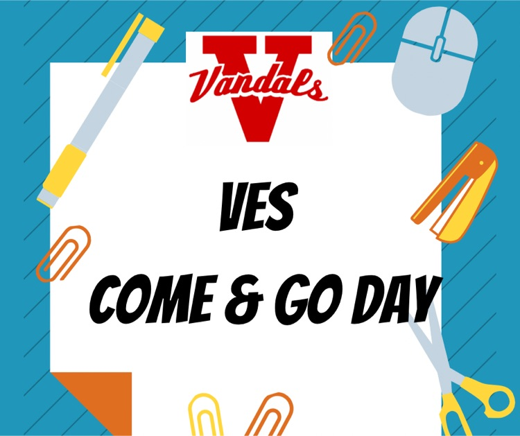 VES
